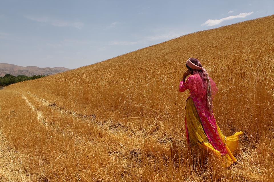 حسام بختیاری